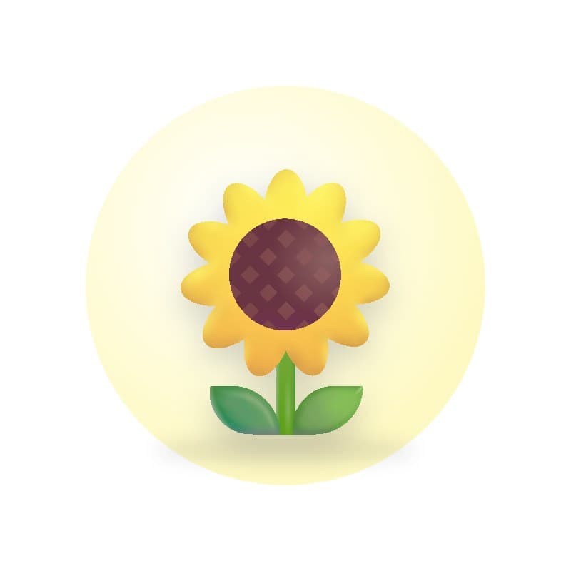Sunflower Oil