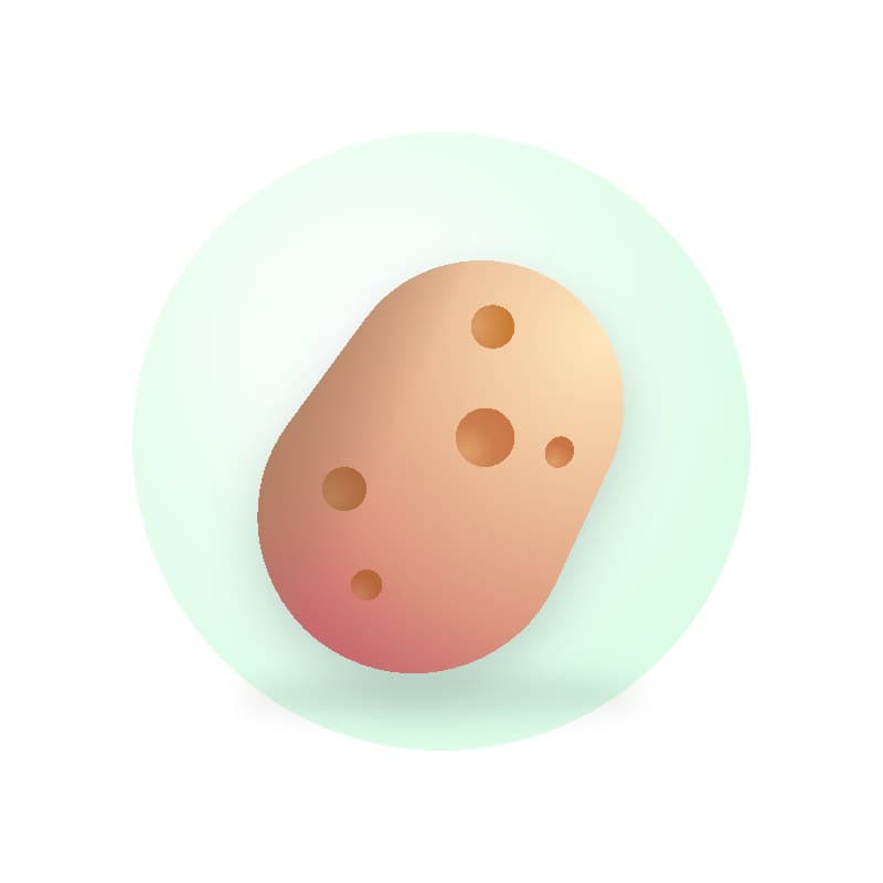 Potato